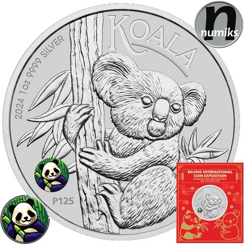 Koala panda privy - privy, 2024