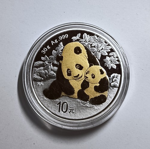 Yuan 2024 china - 2024, panda