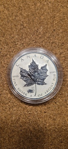 Canada maple leaf - canada,