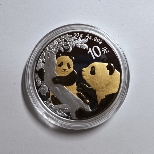 Yuan 2021 china panda - 10,